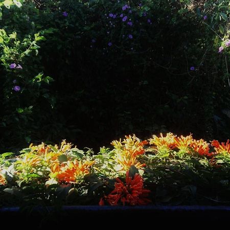 Dalat Inn Homestay ภายนอก รูปภาพ